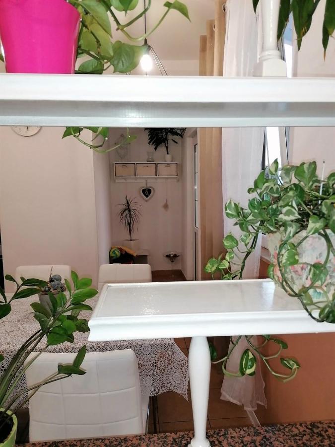 B&s Apartment