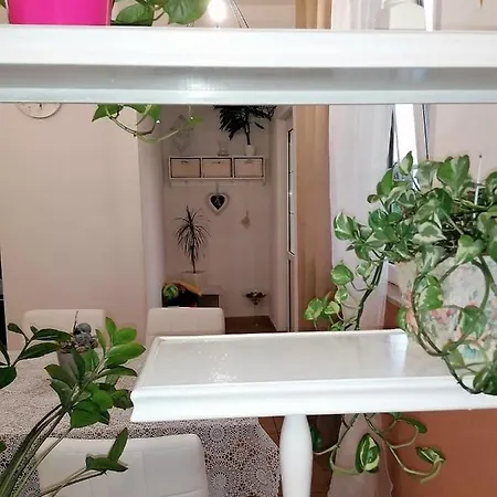 Apartmani B&S Barbat na Rabu Exterior photo